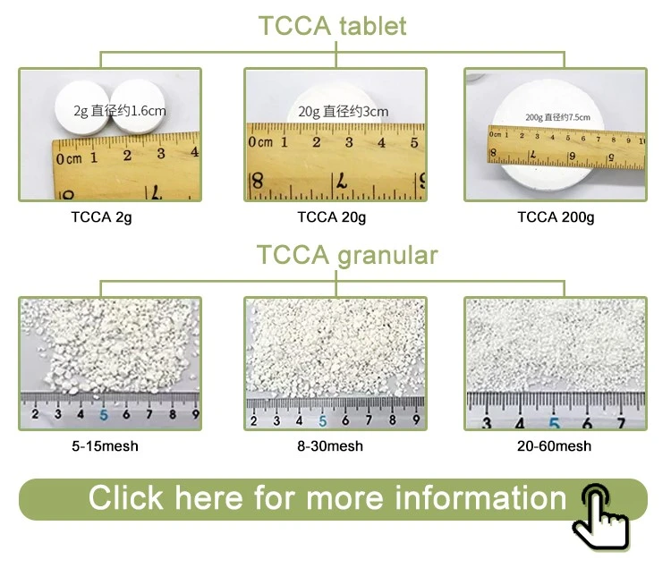 Water Treatment Chemical TCCA 90% Granular 200g Chlorine Tablet (6)