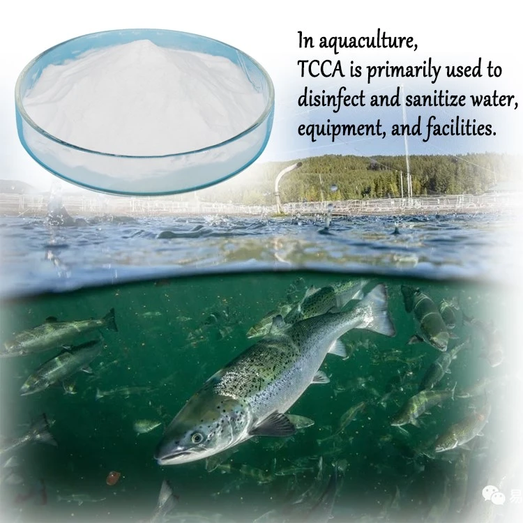 TCCA IN AQUACULTURE TCCA IN AQUACULTURE