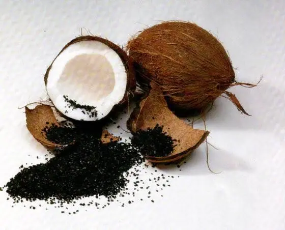 Aprovizionare din fabrică Cărbune activat Cochilă de nucă de cocos Granulată Coji de cocos Cărbune de lemn Cărbune activat de calitate alimentară