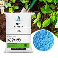 NPK 100% solubil în apă 13-40-13