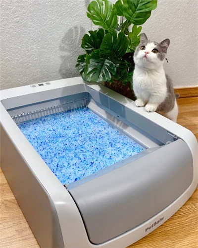 Așternut pentru pisici Tofu Probă gratuită Produse pentru curățarea animalelor de companie Litieră cu gel de silice cu ridicata pentru pisici