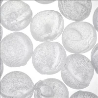 Tratarea apei 1mm 3mm 6mm 10mm 20mm Granular Siliphos Polifosfat Cristal RO Bile anticalcar